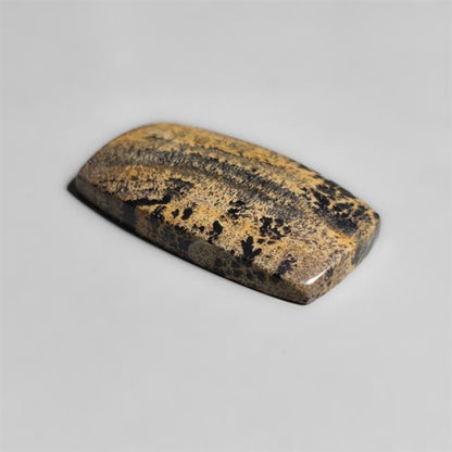Sagebrush Jasper Cabochon