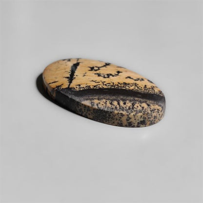 Sagebrush Jasper Cabochon