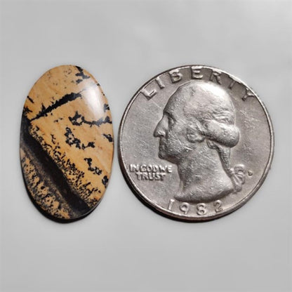 Sagebrush Jasper Cabochon