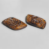Tiger Eye
