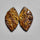 Tiger Eye