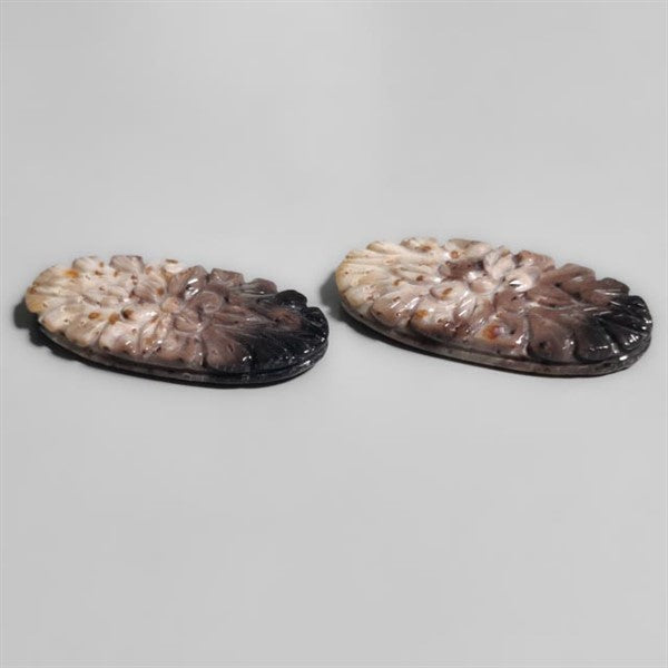 Palmroot