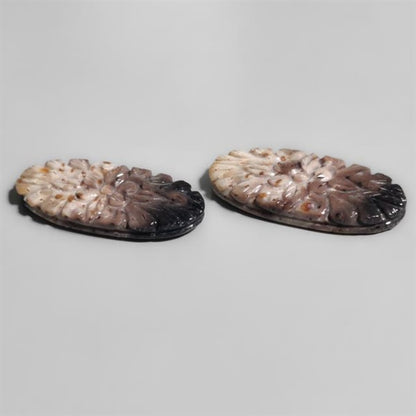 Palmroot