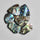 Abalone Shell