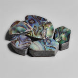 Abalone Shell