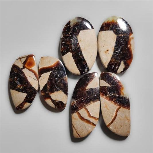 Septarian