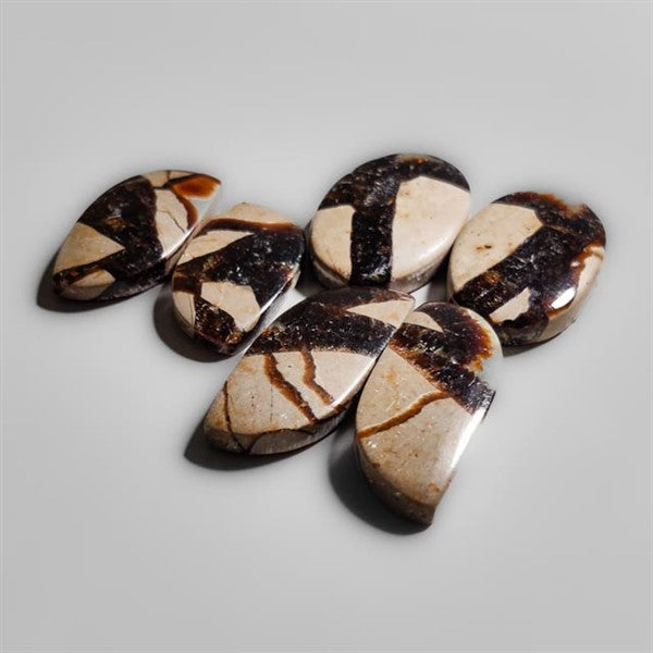 Septarian