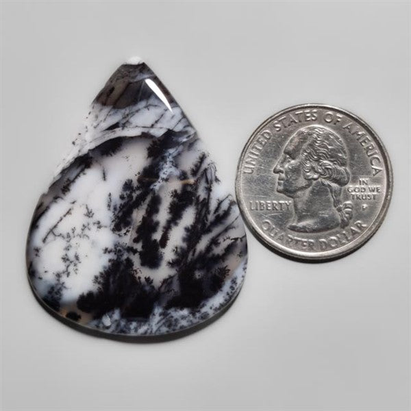 Dendritic Agate