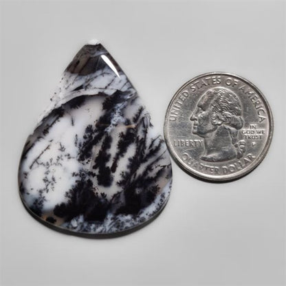 Dendritic Agate