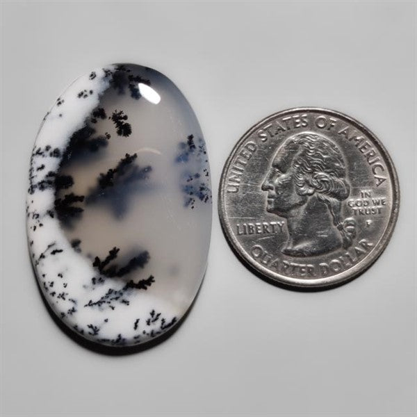 Dendritic Agate