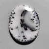 Dendritic Agate