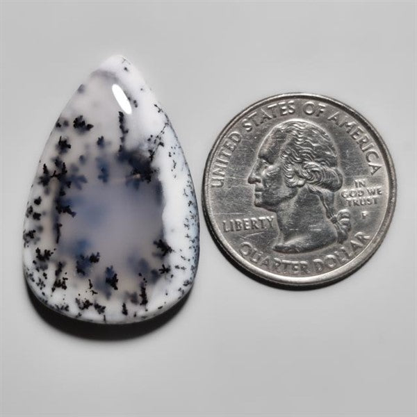 Dendritic Agate