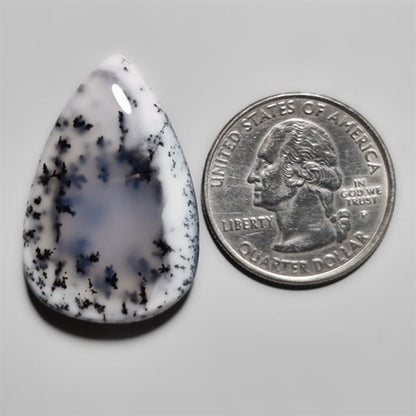 Dendritic Agate