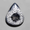 Dendritic Agate