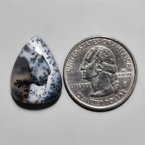 Dendritic Agate