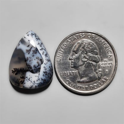 Dendritic Agate