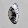 Dendritic Agate