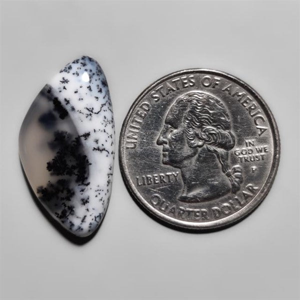 Dendritic Agate