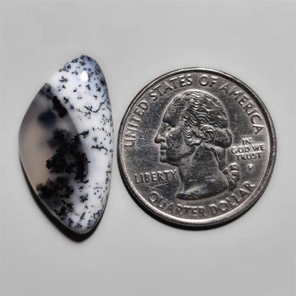 Dendritic Agate
