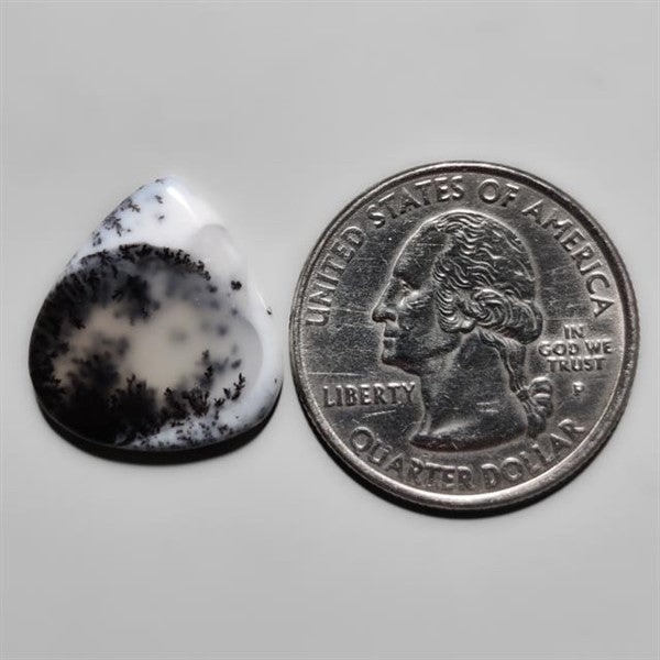 Dendritic Agate