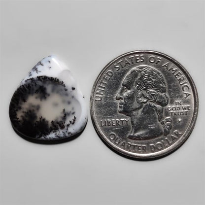 Dendritic Agate