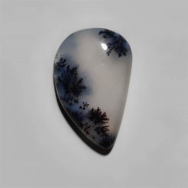 Dendritic Agate