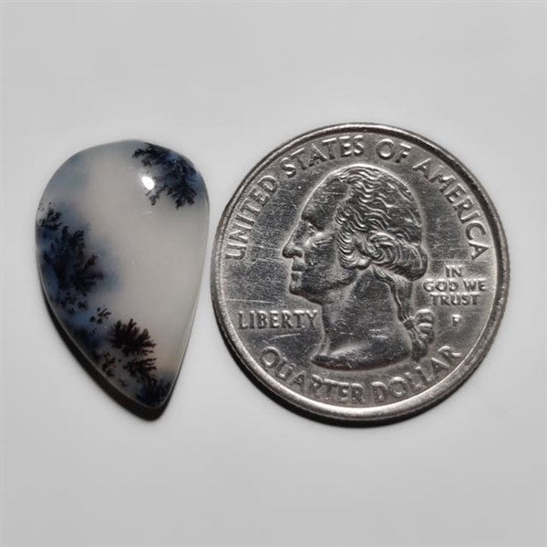 Dendritic Agate