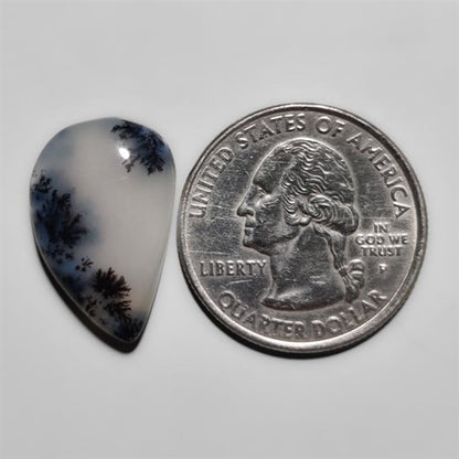 Dendritic Agate