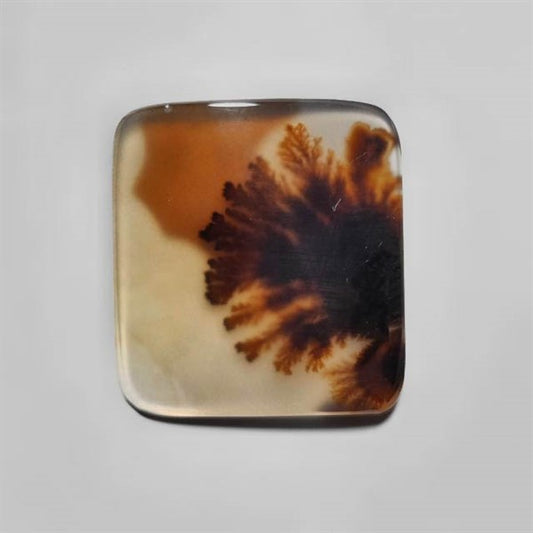 Scenic Agate