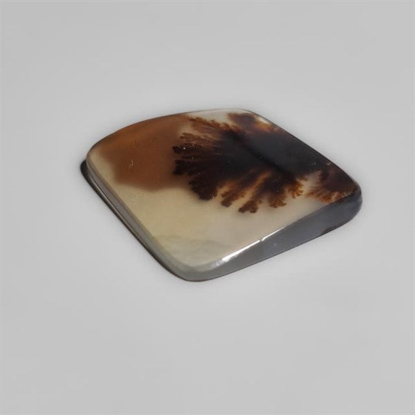 Scenic Agate