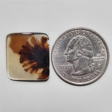 Scenic Agate