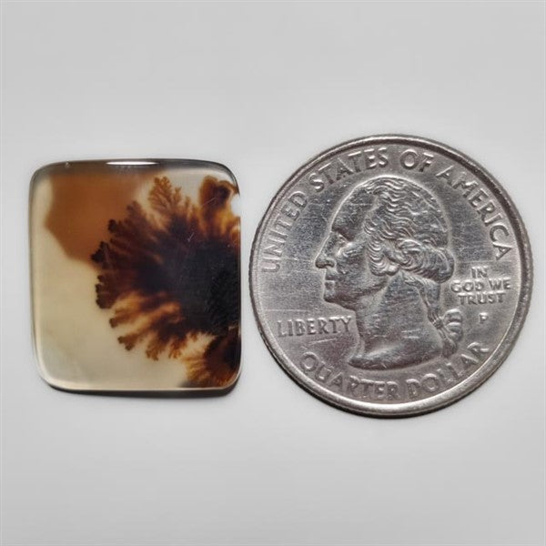 Scenic Agate