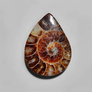 Ammonite Cabochon