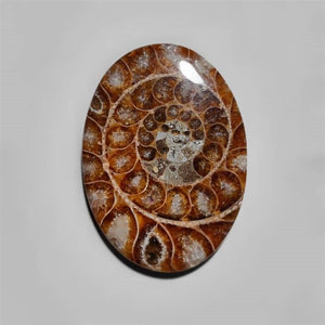 Ammonite Cabochon