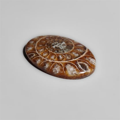 Ammonite