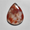 Botswana Agate