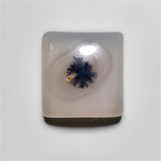 Dendritic Agate