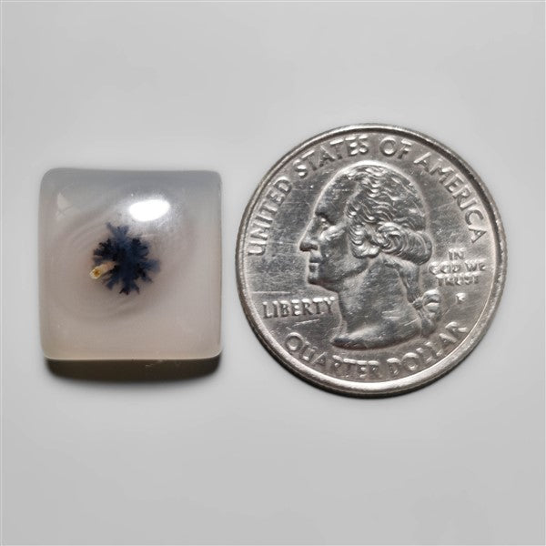 Dendritic Agate