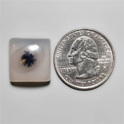 Dendritic Agate