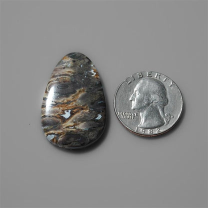 Fossilized Indonesian Palm Root