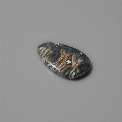 Fossilized Indonesian Palm Root