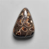 Rare Fossil Marston Marble Cabochon