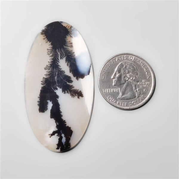 Scenic Agate