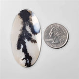 Scenic Agate