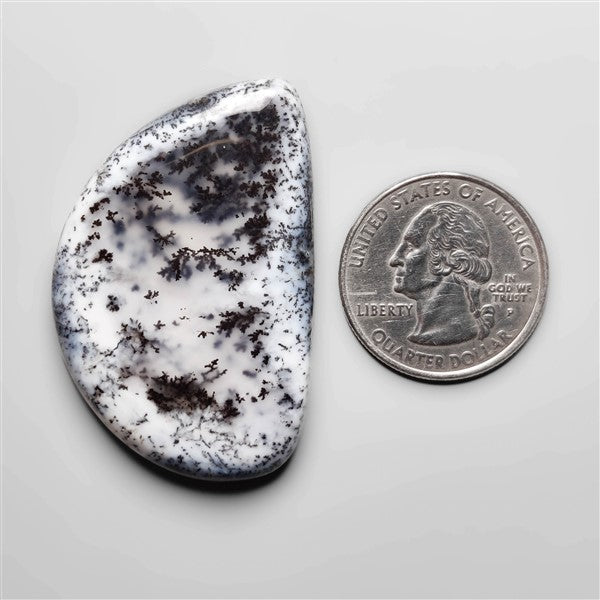 Dendritic Agate Cabochon