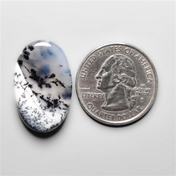 Dendritic Agate Cabochon