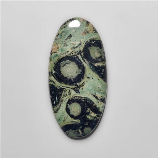 Galaxy Kambaba Jasper