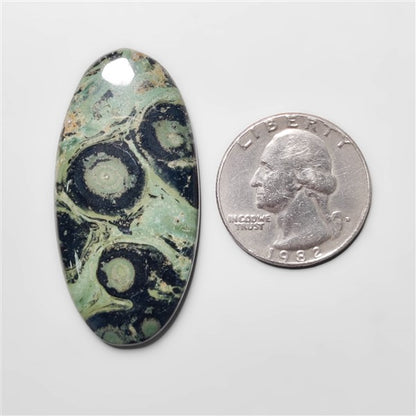 Galaxy Kambaba Jasper