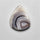Botswana Agate