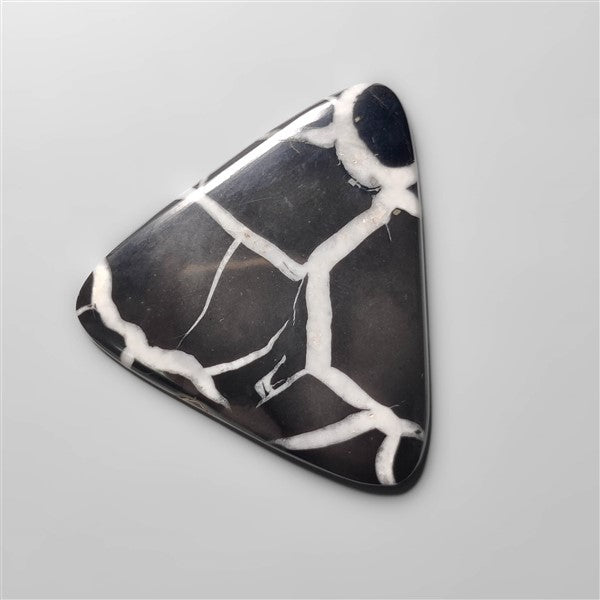 Black Septarian Fossil